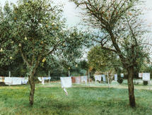 Painting of washing line